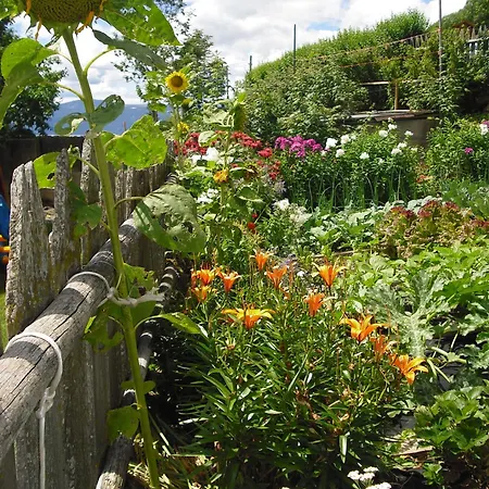 Farm stay Pineiderhof Funes (Bolzano)