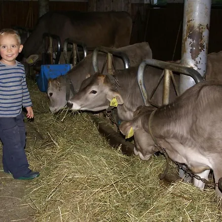 Farm stay Pineiderhof Funes (Bolzano)